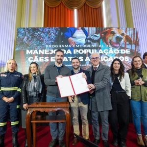 Governo anuncia novo programa de apoio aos abrigos de cães e gatos em parceria com municípios