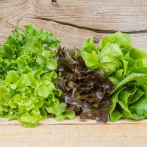 Conheça os sete tipos de alface e como utilizá-los em cada receita