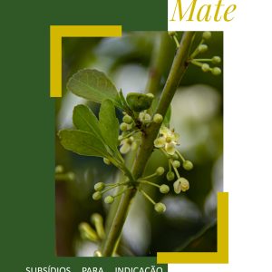 Livro sobre erva-mate será lançado nesta quinta (07/11) em Ilópolis – Livro fala sobre pesquisa desenvolvida pelo DDPA/Seapi
