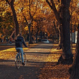 Bicicleta elétrica ou tradicional? Vantagens e desvantagens de cada modelo
