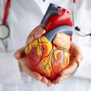 Doenças cardiovasculares lideram mortes no Brasil Doenças cardiovasculares lideram mortes no Brasil