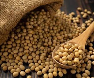 Soja e trigo hoje: confira as cotações para terça (4)