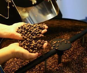 Café arábica e robusta tiveram alta de preços no último fechamento