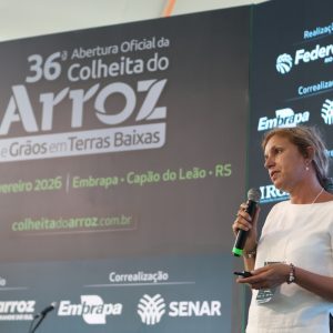 Especialista defende qualidade e integração para ampliar exportações de arroz