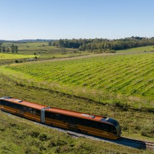 Trem do Pampa segue até o fim de março com tarifa especial para moradores do RS