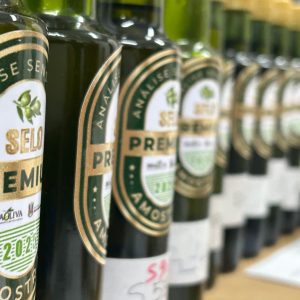 Azeite de oliva gaúcho será destaque em coquetéis do South Summit Brazil