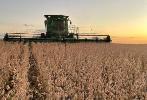 Colheita da safra de verão avança com alerta sobre seguro e perdas no campo