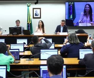 Atualização dos limites do MEI: presidente de comissão sinaliza revisão de outras faixas do Simples Nacional