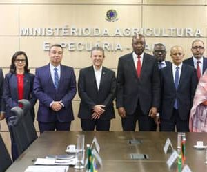 Ministério da Agricultura discute parceria em genética bovina e negocia abertura de mercado com a Mauritânia