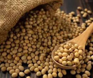 Soja e trigo começam a quinta-feira (23) com elevação nos preços