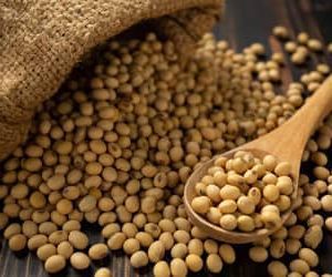 Soja e trigo hoje: confira as cotações para esta sexta-feira (17)