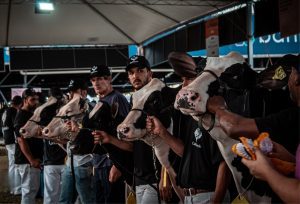 Raça holandesa concentra programação da Fenasul Expoleite em Esteio
