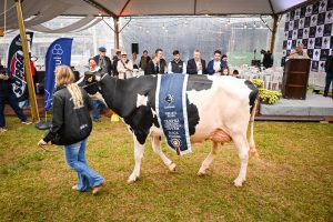 Fenasul Expoleite encerra com 200 mil visitantes e desfile dos campeões