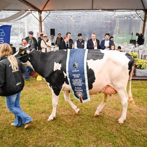 Fenasul Expoleite encerra com 200 mil visitantes e desfile dos campeões