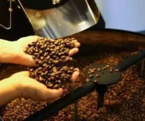 Café hoje: confira cotações para esta quarta-feira (13)