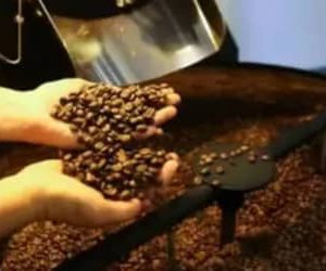 Café hoje: confira cotações para esta quinta-feira (14)