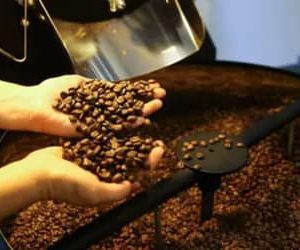 Café hoje: confira cotações para esta segunda (25)