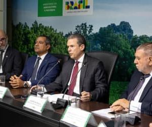 Ministério da Agricultura lança plataforma única para registro de defensivos agrícolas