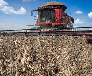 Retração no mercado de máquinas mostra cenário preocupante para o agro