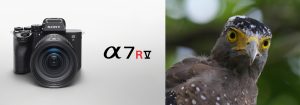 Sony apresenta sua nova câmera sem espelho Alpha 7R VI com lente intercambiável de 66,8 MP