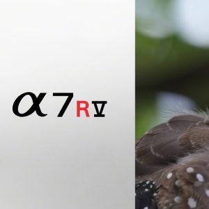 Sony apresenta sua nova câmera sem espelho Alpha 7R VI com lente intercambiável de 66,8 MP