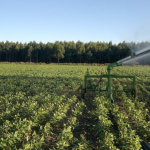 Produtores ganham mais prazo para atender exigências ambientais no crédito rural