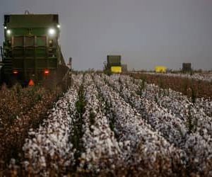 Câmara aprova reforma da política agrícola para revitalizar Seguro Rural