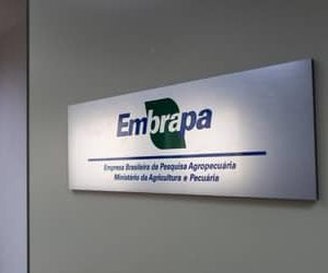 Embrapa inaugura escritório em São Paulo (SP) e firma parceria com Grupo Carrefour Brasil