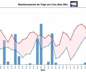 INMET emite alerta fitossanitário para lavouras de trigo no Sul após aumento das chuvas