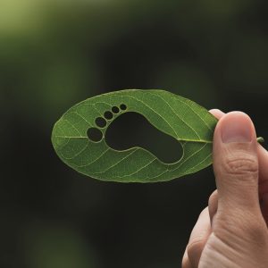 Eficiência Energética com resultados para empresas