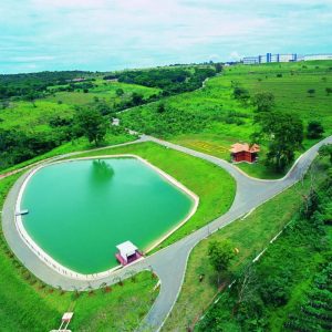 Sustentabilidade transforma indústria farmacêutica