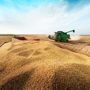 Grupo do agro aprova recuperação judicial com deságio de 85%
