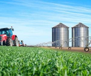 ACSP fortalece aproximação de pequenos negócios das oportunidades geradas pelo agronegócio