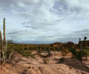 Brasil apresenta na COP17 ações de combate à desertificação e recuperação de áreas degradadas