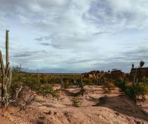 Mudanças climáticas podem levar Brasil a ter 12 dias de racionamento de água por ano até 2050