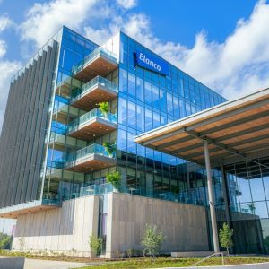 Elanco amplia projeções para 2026 após crescimento de 10%