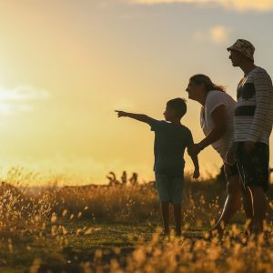 Seguro de vida registra aumento no primeiro semestre de 2026