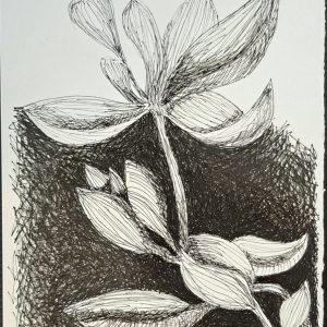 Exposição “UNA”, de Roberto Galvão, reúne obras em Fortaleza