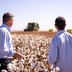 Grupo Bom Jesus completa 50 anos com expansão no agronegócio