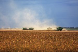 Medida Provisória autoriza abertura de crédito extraordinário para mitigação dos efeitos do El Niño sobre o abastecimento e a segurança alimentar