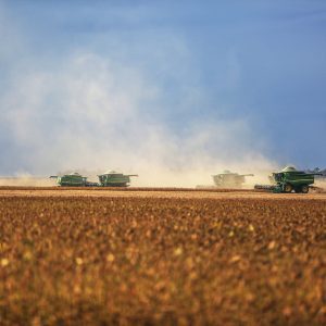 Medida Provisória autoriza abertura de crédito extraordinário para mitigação dos efeitos do El Niño sobre o abastecimento e a segurança alimentar