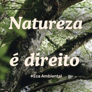 ECA Ambiental é aprovado no Congresso Nacional