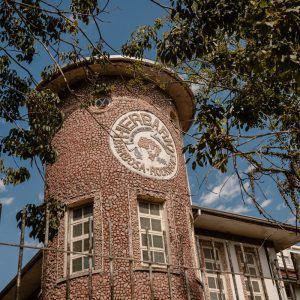 Pesquisa em herbário de SC descobre seis espécies de plantas