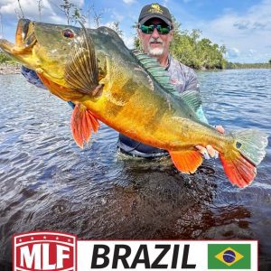MLF anuncia entrada no Brasil em 2027