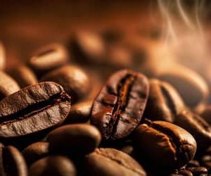 Café hoje: confira cotações para esta segunda-feira (14)