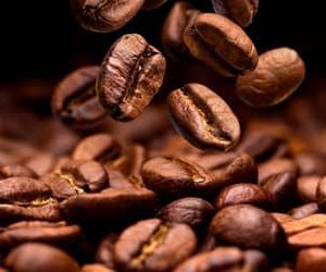 Café hoje: confira cotações para esta terça-feira (1º)