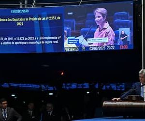 Senado aprova reforma do Seguro Rural que segue para sanção presidencial