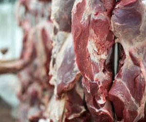 UE suspende importações de carnes do Brasil e setor busca alternativas