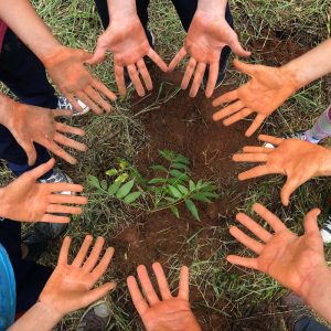 Relatórios de sustentabilidade de escolas ganham relevância