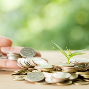 Cooperativismo financeiro amplia retorno aos associados